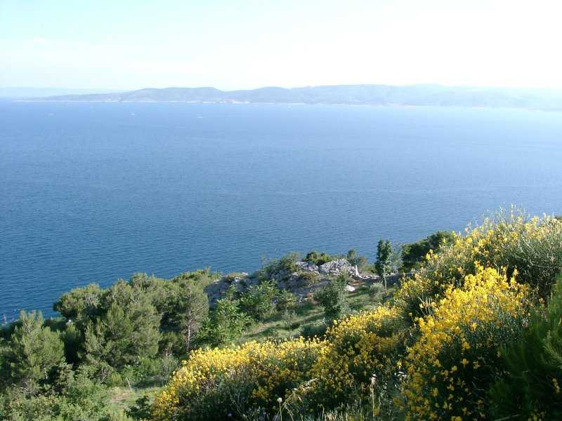 Blick von der Küstenstraße zur Insel Brač (2004)