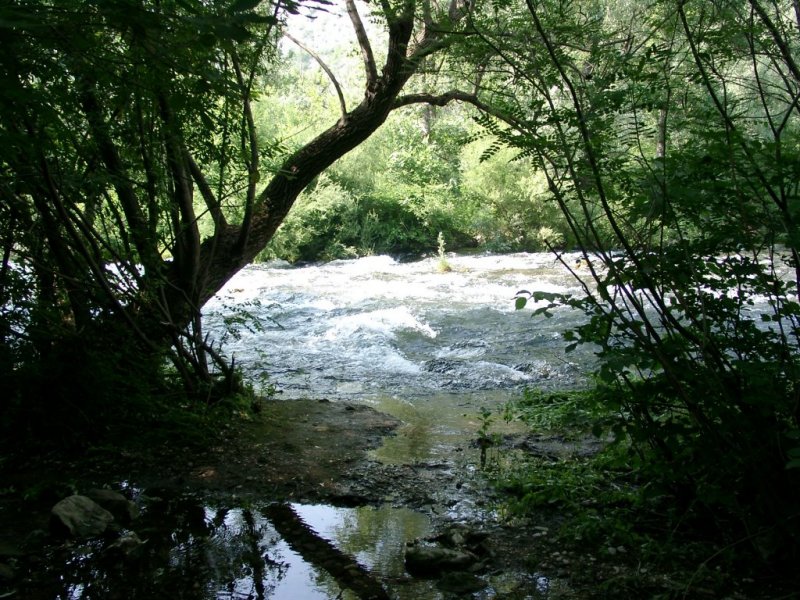 Cetina bei Radmanove Mlinice (2003)