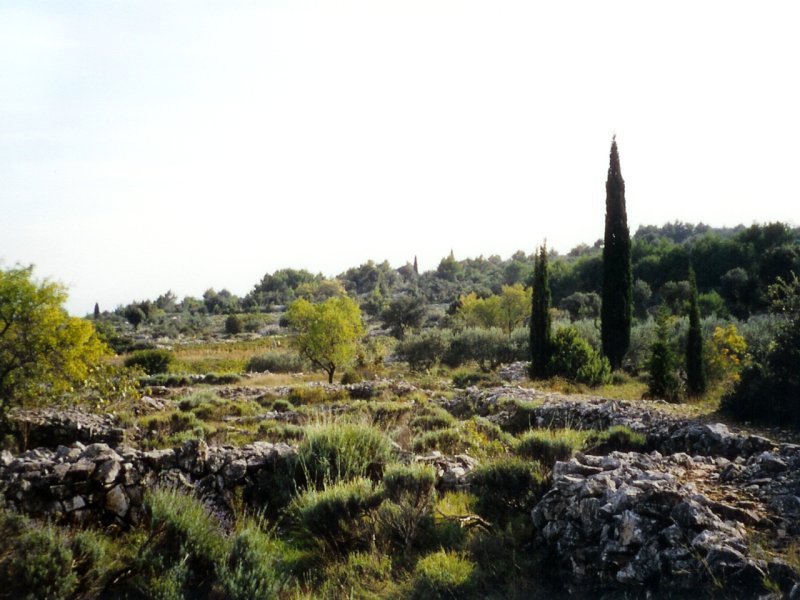 Typische Landschaft auf der Insel Hvar (2000)
