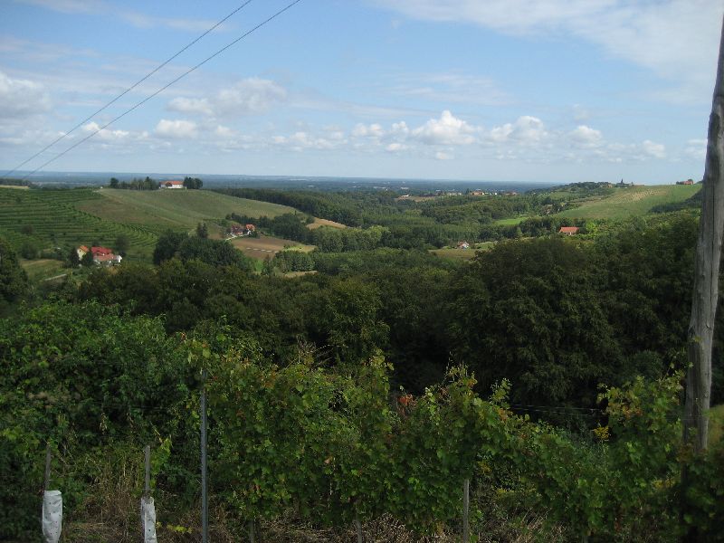 Landschaft an Weinstraße bei Jeruzalem (2008)