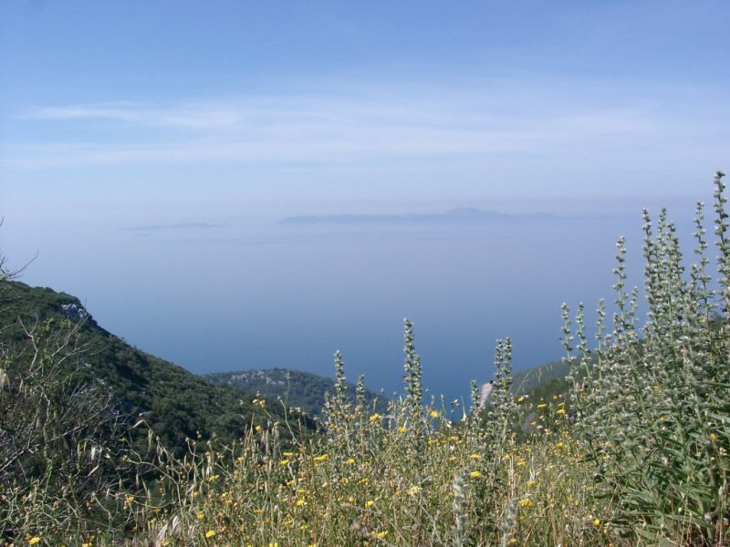 Korčula: Aussicht oberhalb von Pupnat (2004)