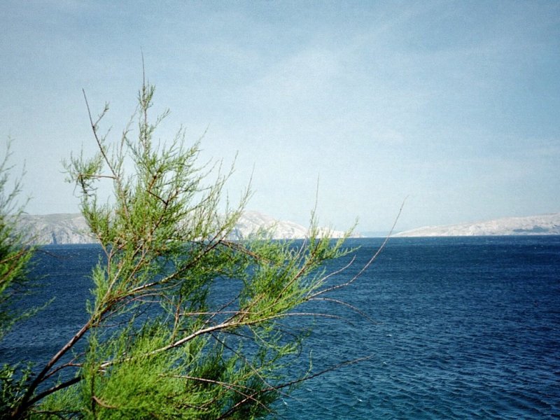 Blick von der Küstenstraße bei Senj zur Insel Krk (2001)