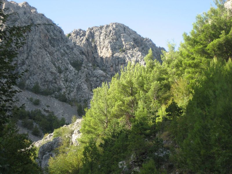 Velika Paklenica: Aussicht vom Zufahrtsweg (2008)