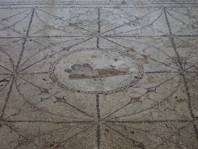 Risan: Römisches Mosaik (2014)
