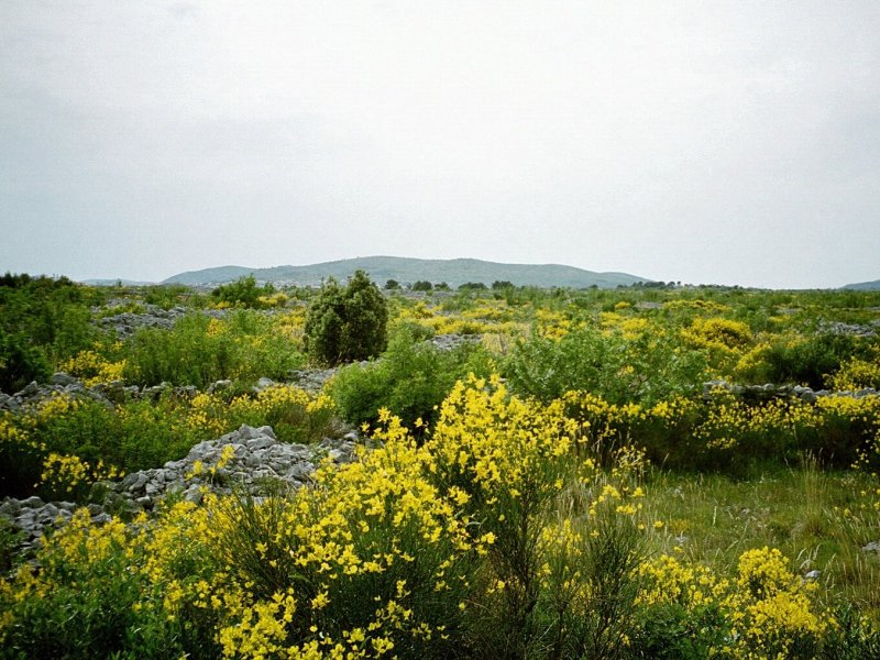 Hinterland bei Srima südlich von Vodice (2001)